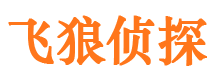 井陉县市场调查